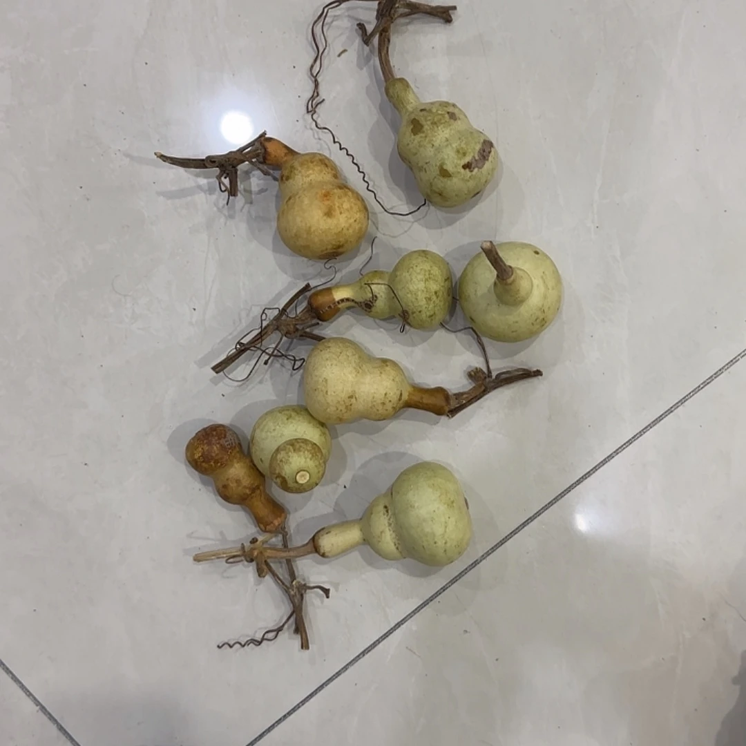 一****葫芦带瑕疵的种子 ....