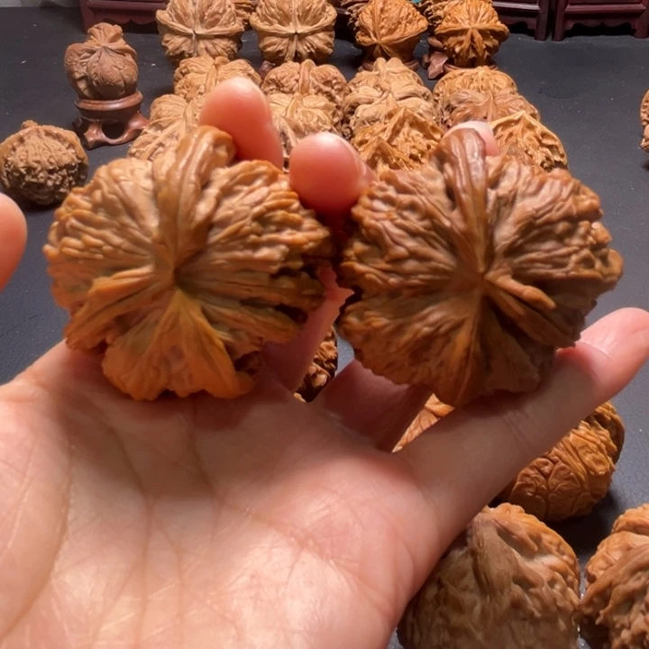 白狮子两棱挂角42尺寸核桃哈哈哈哈哈