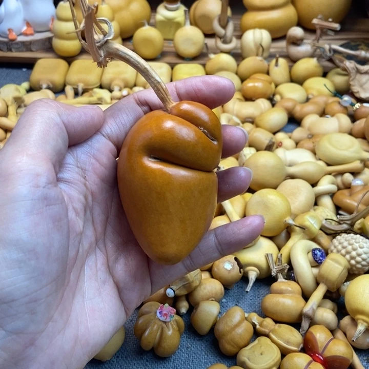 老皮小象不退换1111