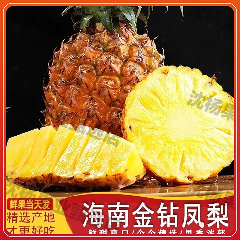 海南金钻凤梨当季新鲜热带水果树上自然熟手撕凤梨非菠萝