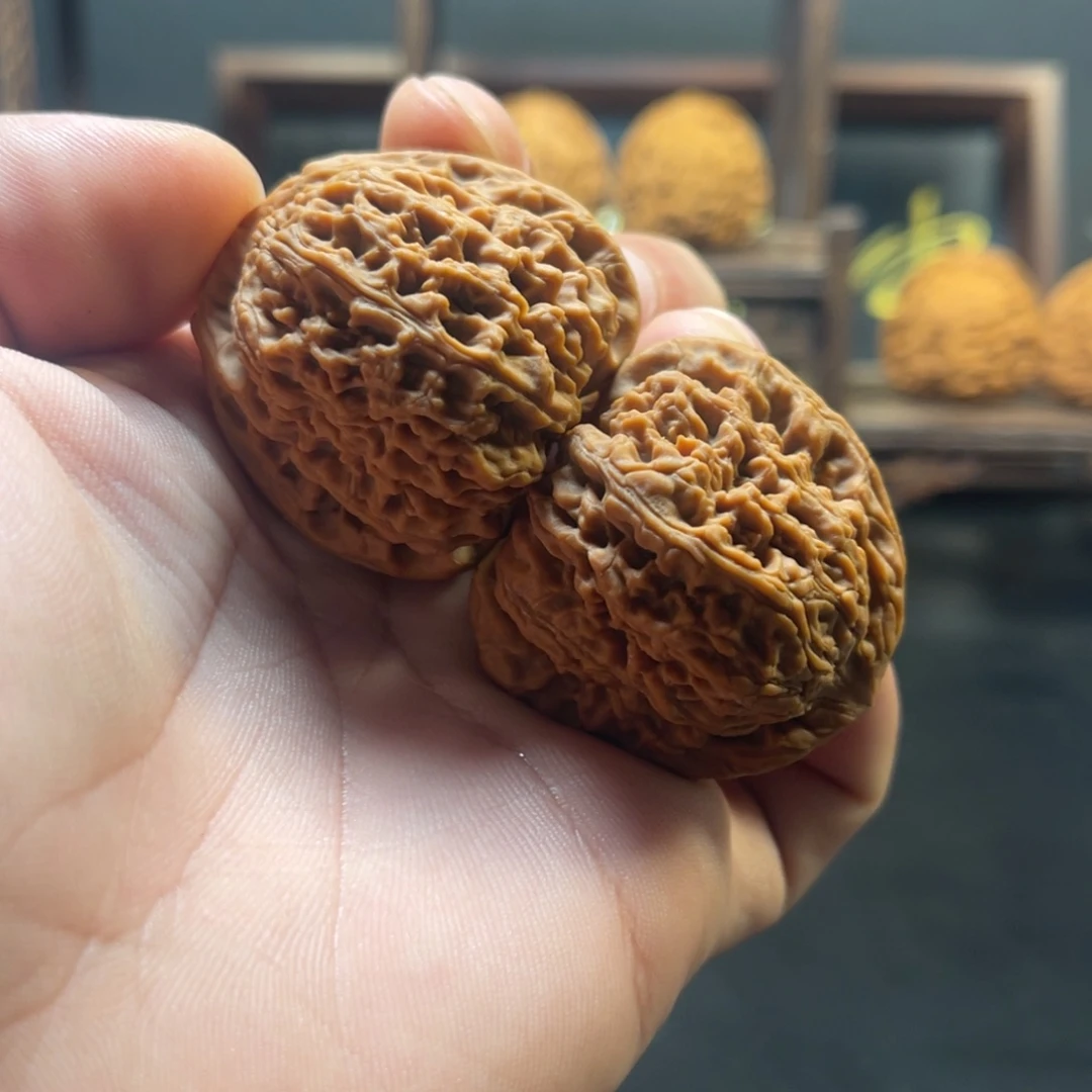 张***柴大叶紫檀（黑酸枝木类）