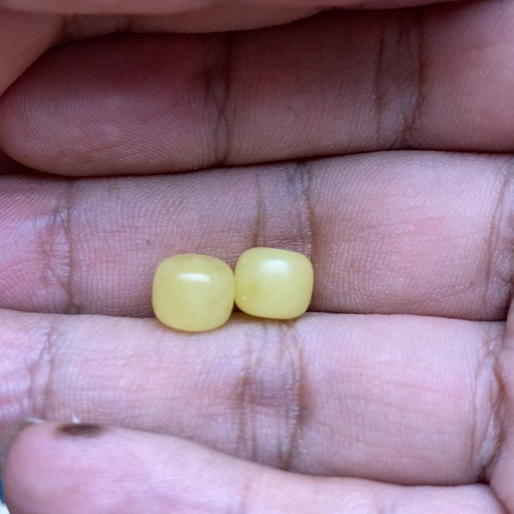 裸石琥珀未镶嵌12号8.2*7.1左右2颗