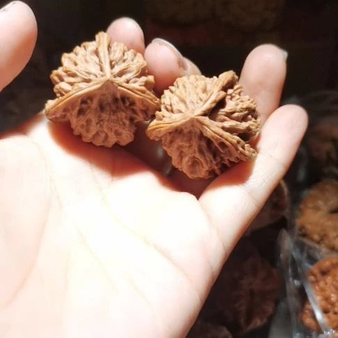 猴头核桃吊坠33三棱