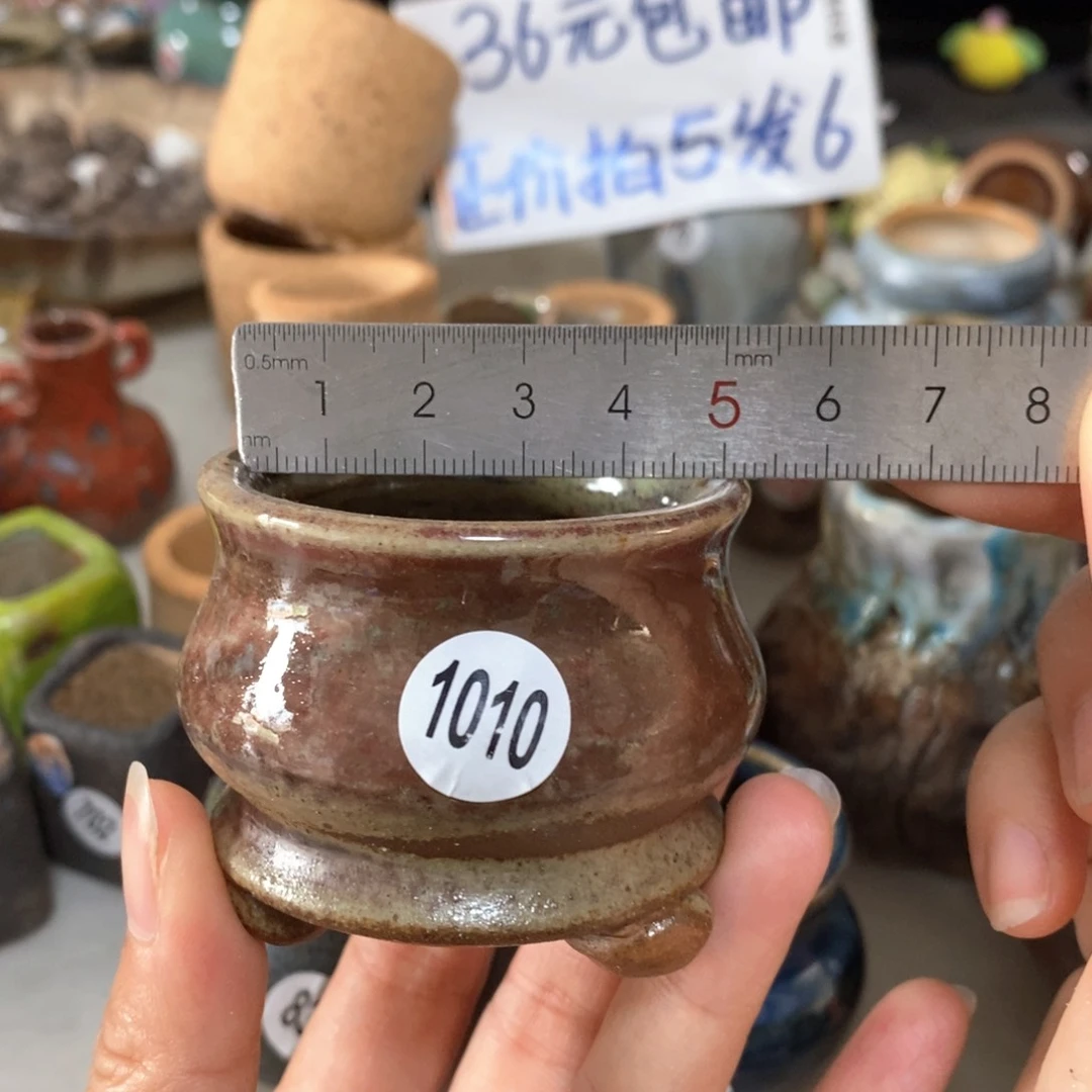 拍5送一个小礼物