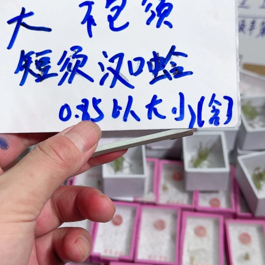 用***1蟋蟀蝈蝈你的电话打不通