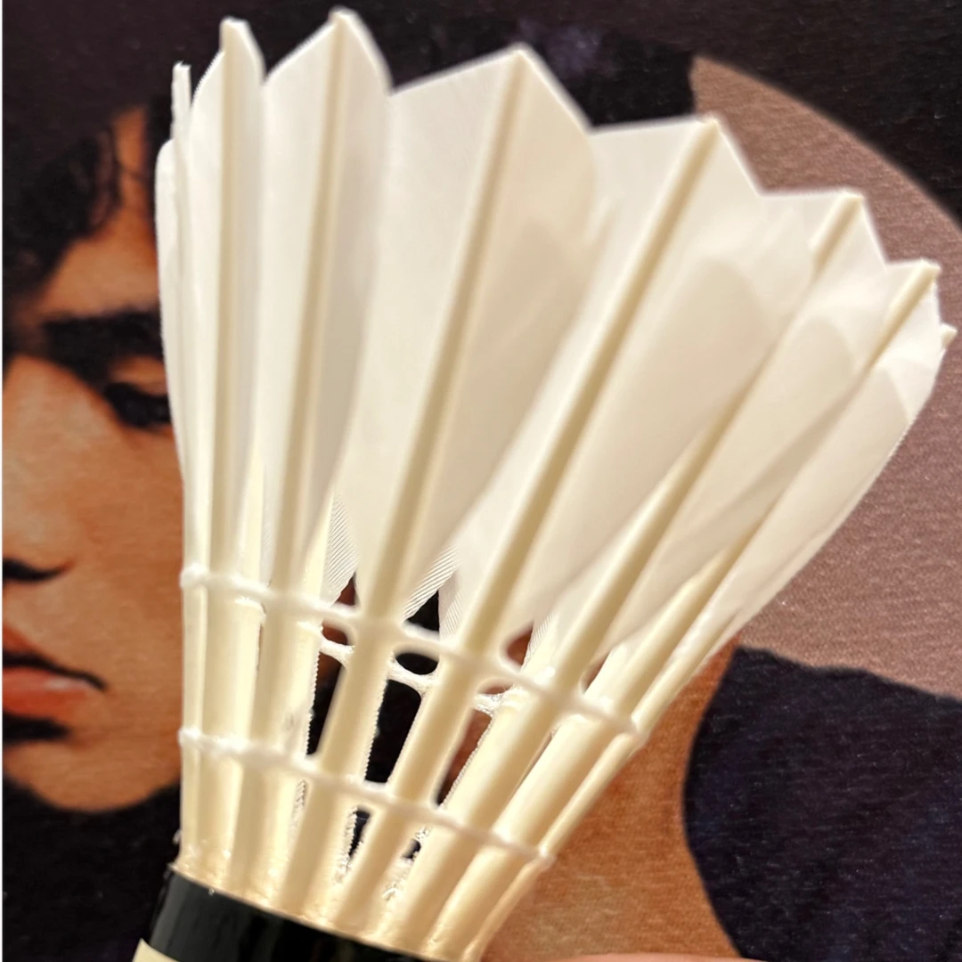 Nextalon疾风系羽毛球鹅拉直耐打飞行稳定适合室内比赛级用球