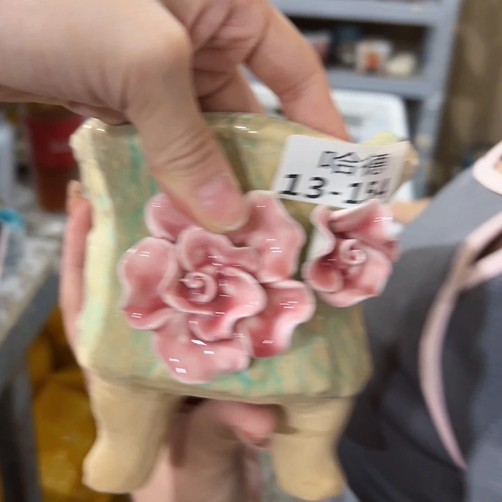 13154 拍满18.8包邮发货