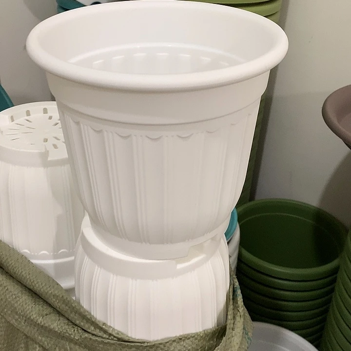 罗马口18高16白5个