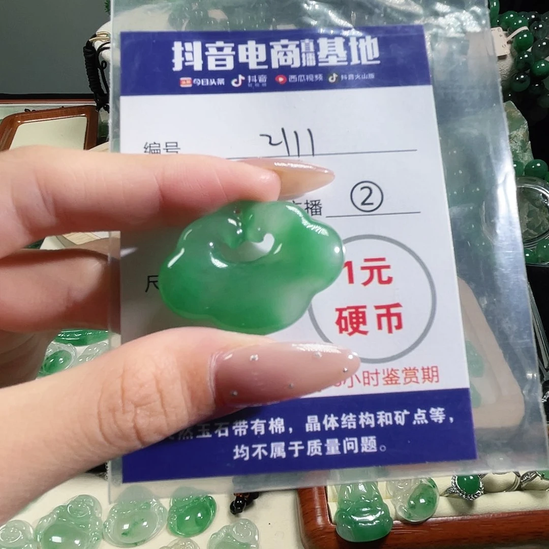 石英质玉未镶嵌颈饰