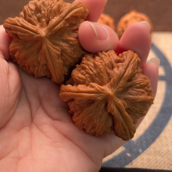 雨***步核桃核桃42白狮子