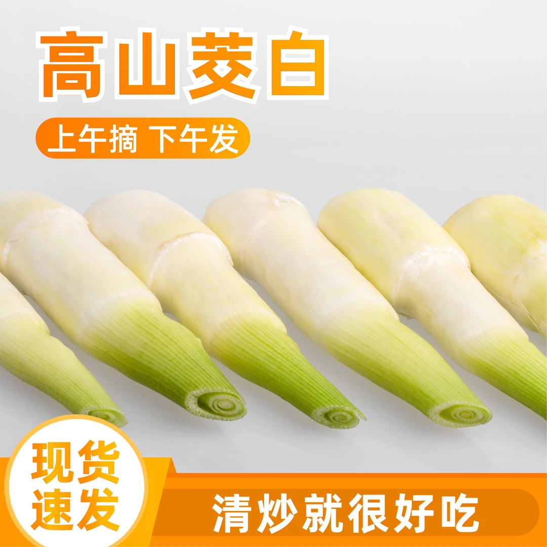 高山茭白新鲜冬笋鲜嫩蔬菜孕妇首选营养丰富高笋福建直摘新鲜到家