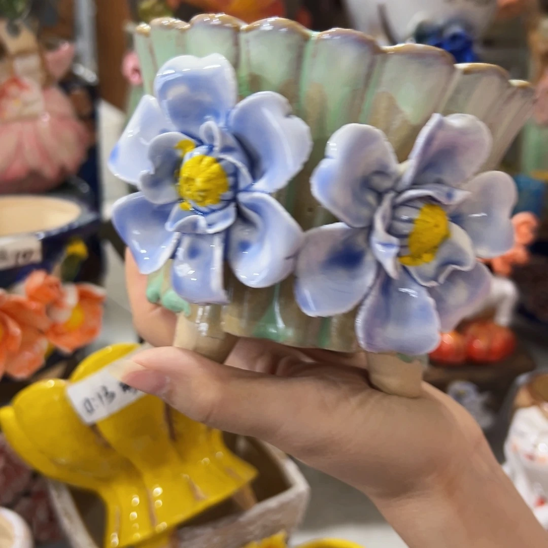 本场满100送一个花盆