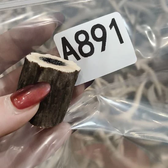 生***子鹿角鹿角鹿角鹿角鹿角