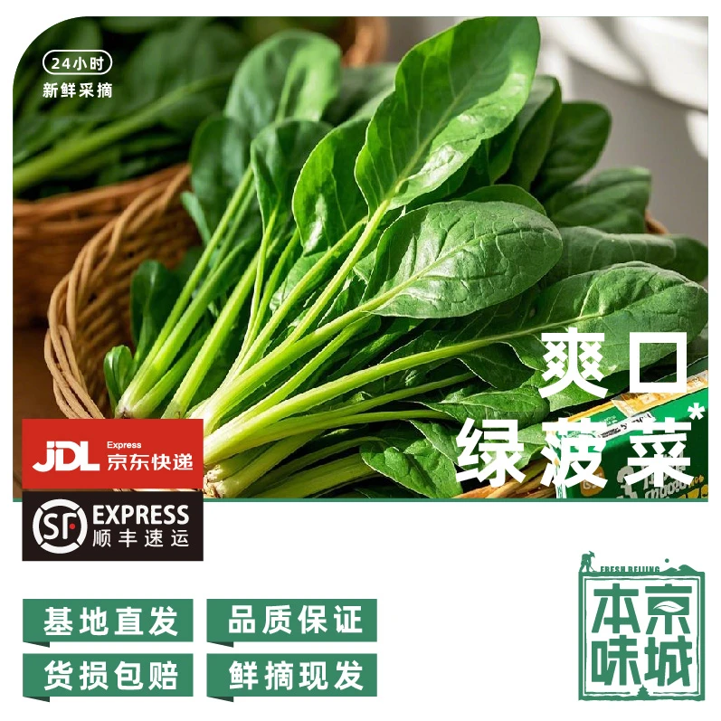 房【老太太家的菜园子-牛粪菠菜】拍1斤送1斤 田园绿菠菜 香甜鲜嫩 营养丰富绿色蔬菜短菠菜
