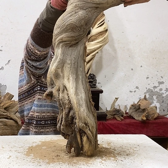 棒***8柏木我们都是好孩子