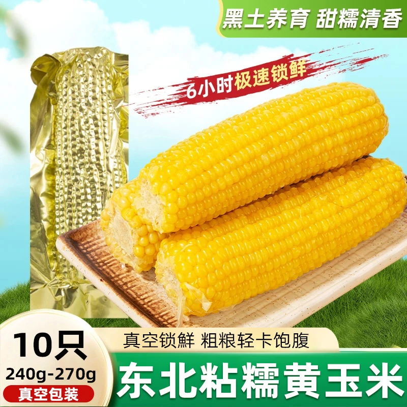 郁穗正宗2025东北黄糯粘糯糯米现摘玉米真空锁香软糯香甜玉米棒