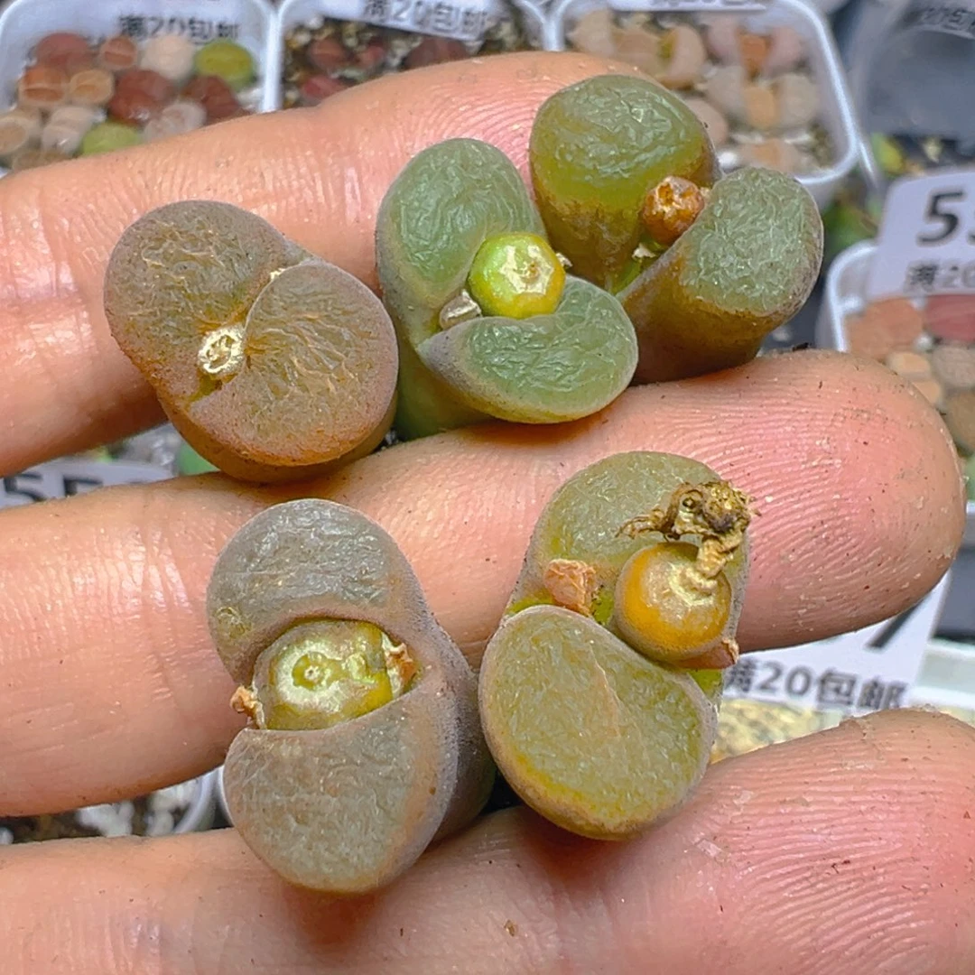 【闪购商品】 465。