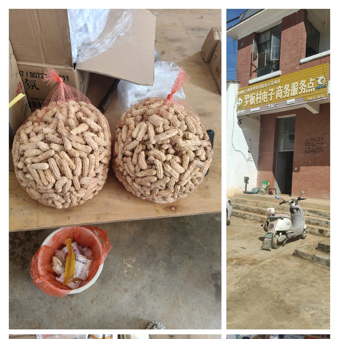 云南农家自种新鲜带壳七彩水果干花生颗粒饱满清甜可口