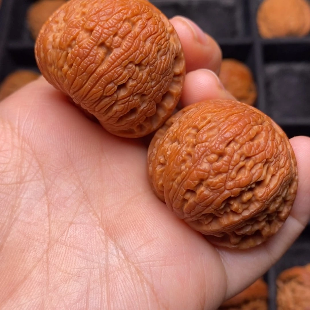 文玩核桃把件秦岭野生核桃