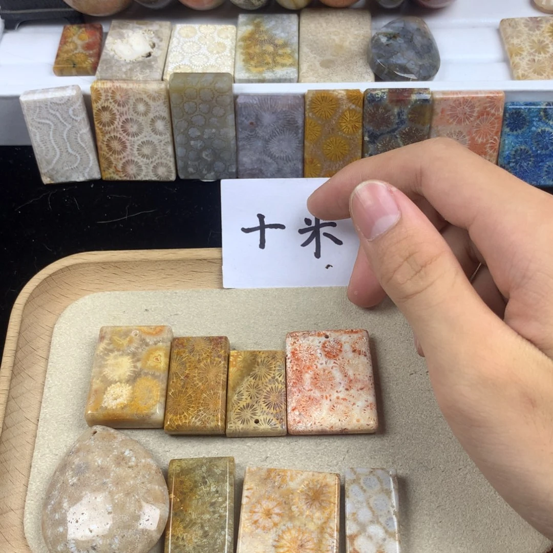 大***晨硅化珊瑚（珊瑚玉）未镶嵌颈饰