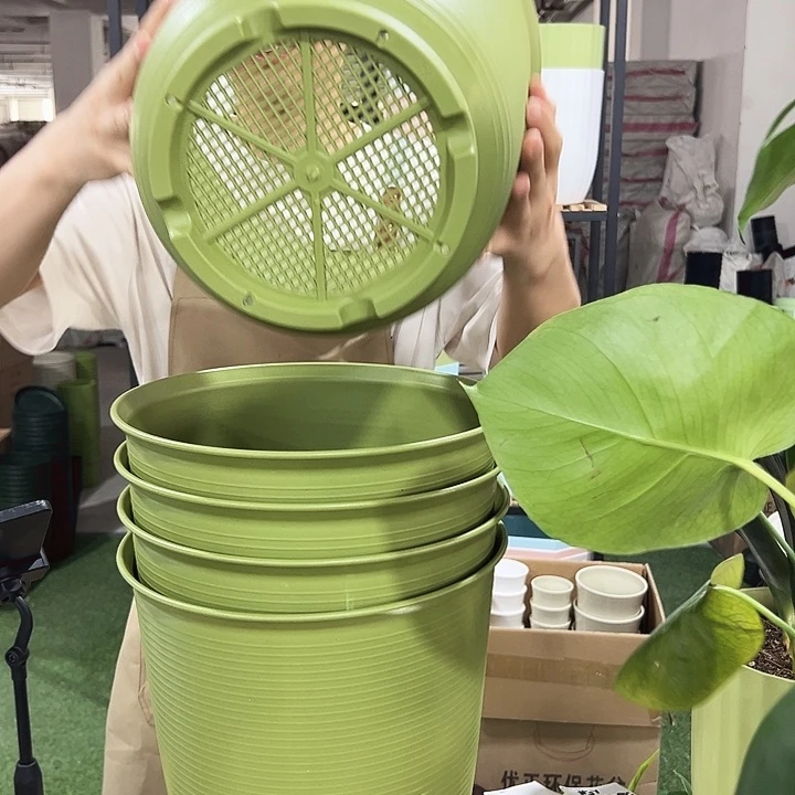 高陶口30高30果绿无托5个