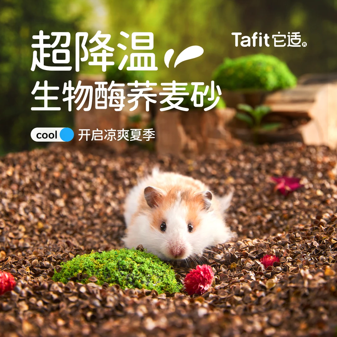 它适生物酶荞麦砂仓鼠垫料四季通用除臭透气木屑无尘挖掘沙金丝熊