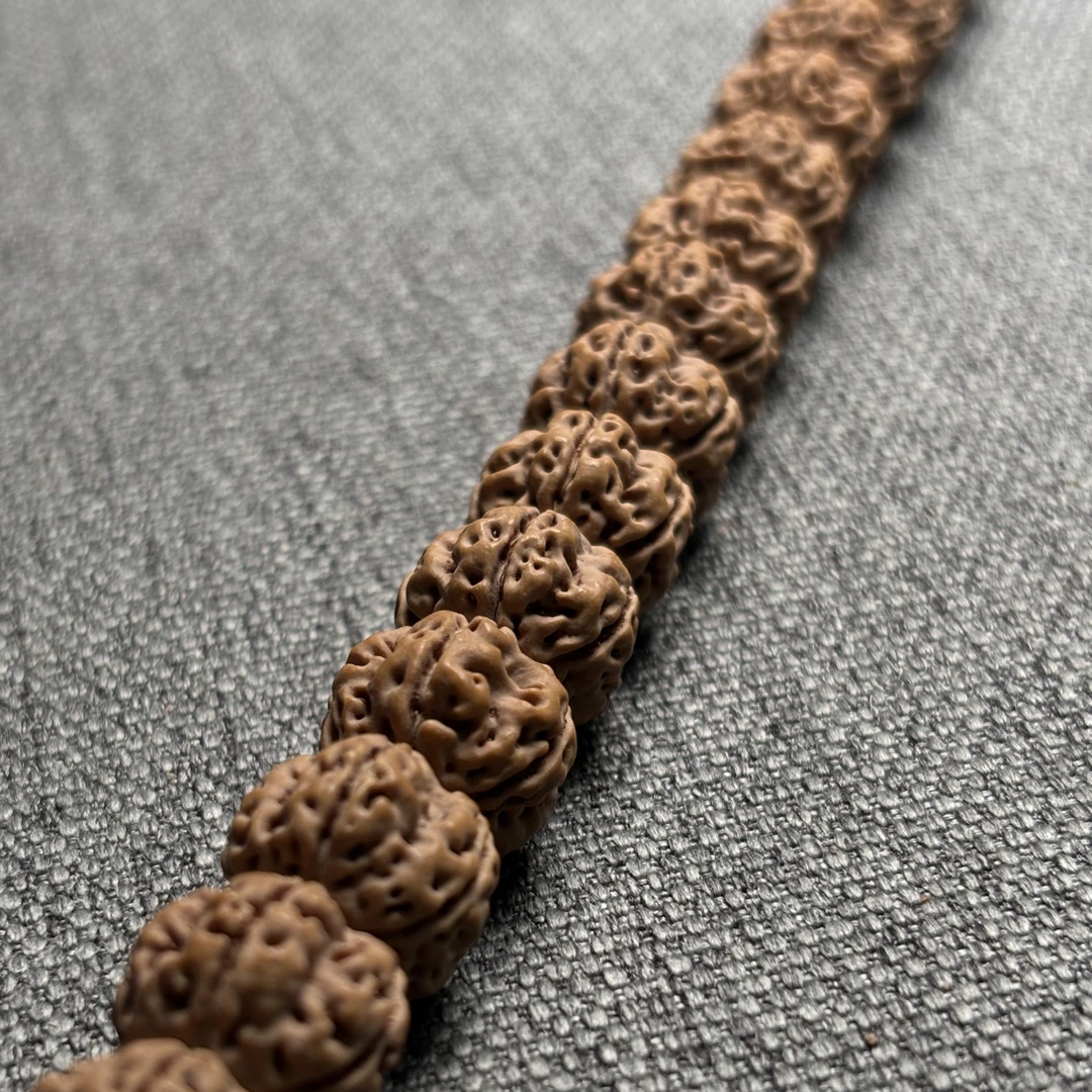 【战神凹底梅花】教授出品毕业级原生态凹底龙爪梅花小金刚菩提手串