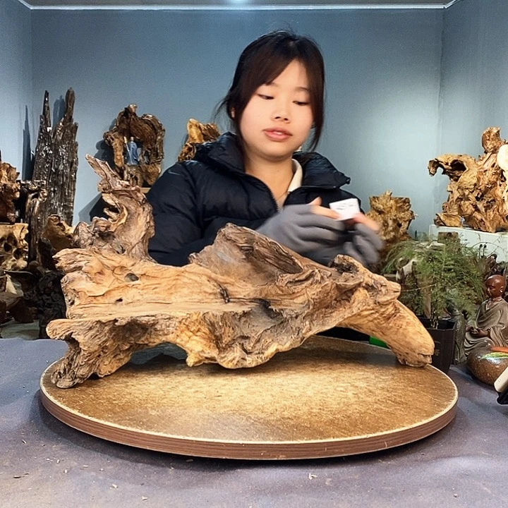 茶盏许*辉514株木的随行的根艺