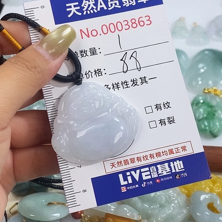 翡翠未镶嵌颈饰3863