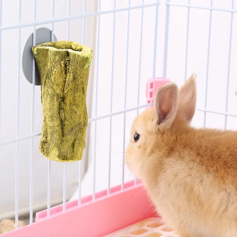 兔子龙猫猪仓鼠磨牙木瓜墩树桩零食解闷玩具用品