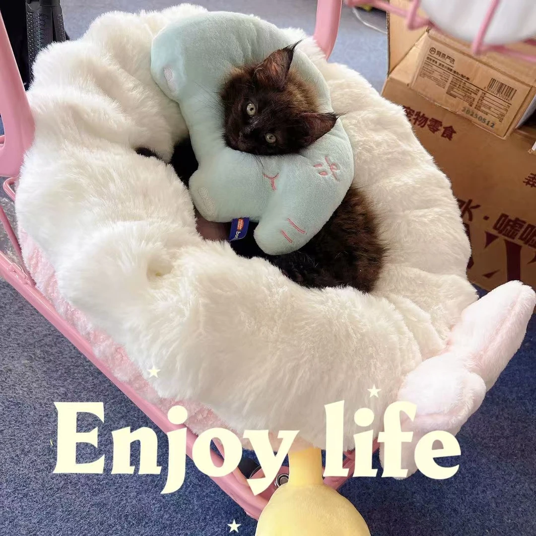 【桃子宠物】猫咪湿粮快乐购