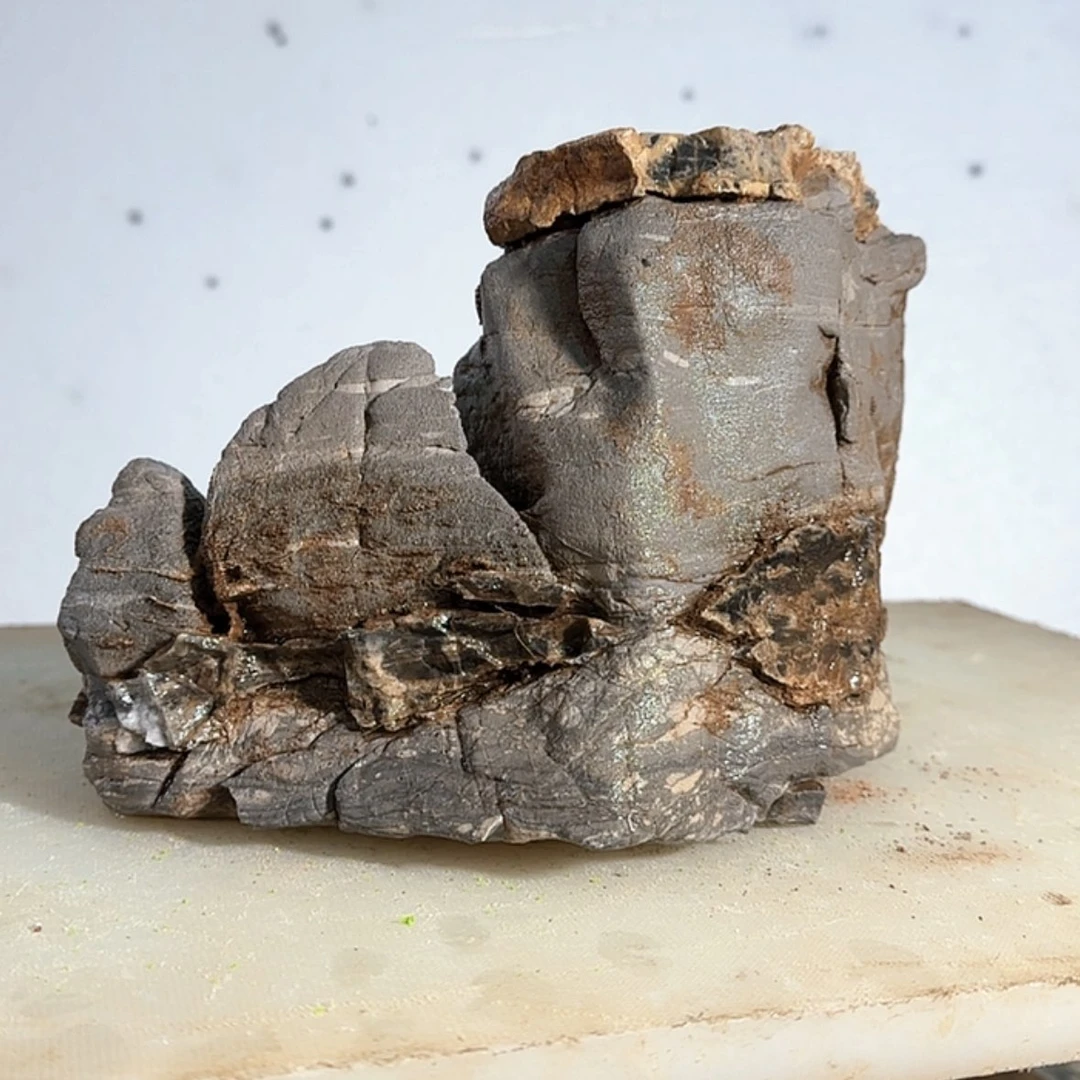 【闪购商品】香榧木熊**哥出来就觉得这一套好好看了咯