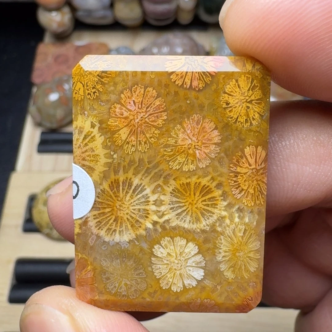 硅化玉未镶嵌纯天然色有机玉石保真色