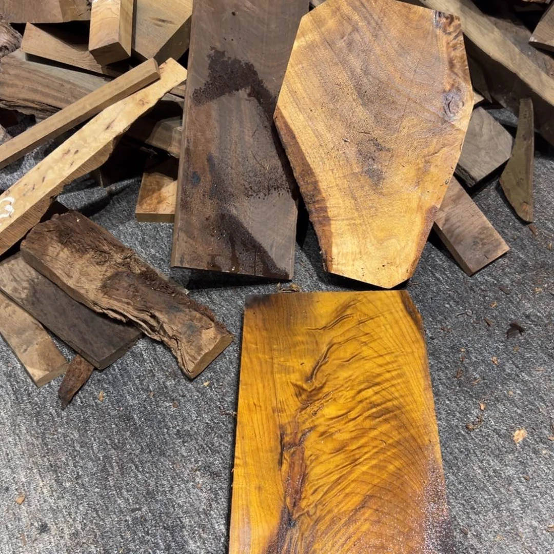 老***”金丝楠金丝楠阴沉木原材料