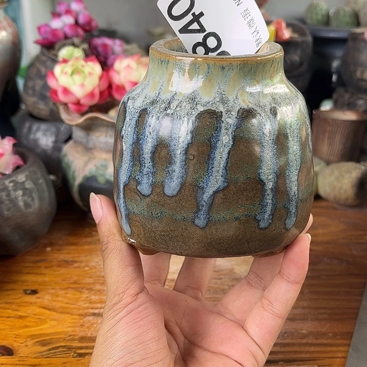 重庆小燕子欢迎大家840