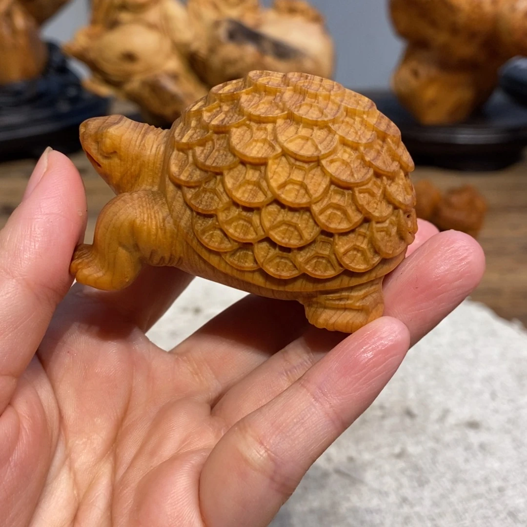 柏木（崖柏）崖柏，