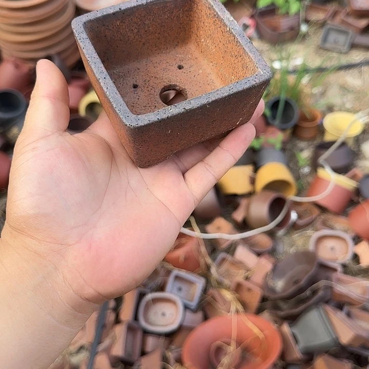 这一期太有意思咯太好嗑