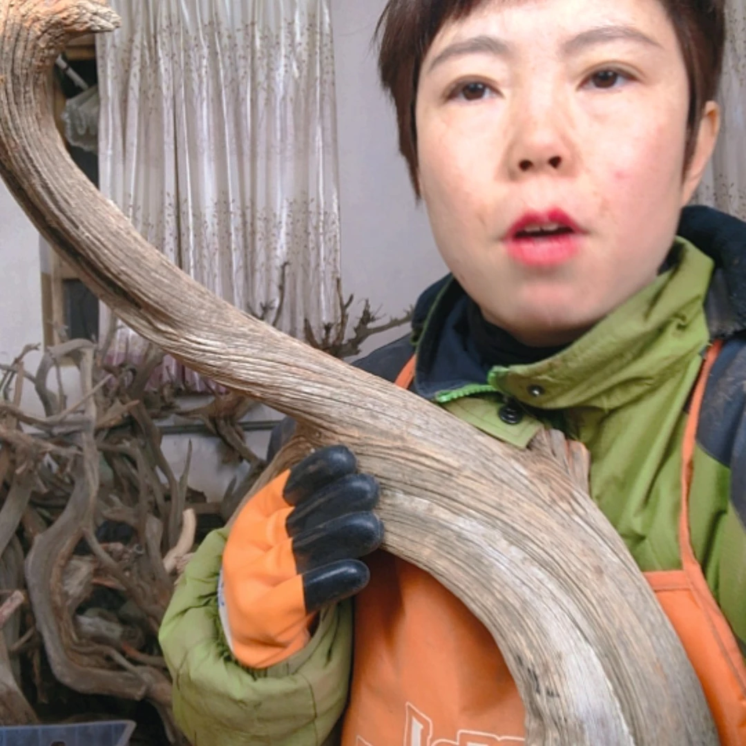 【闪购商品】香榧木李***馍111111111111