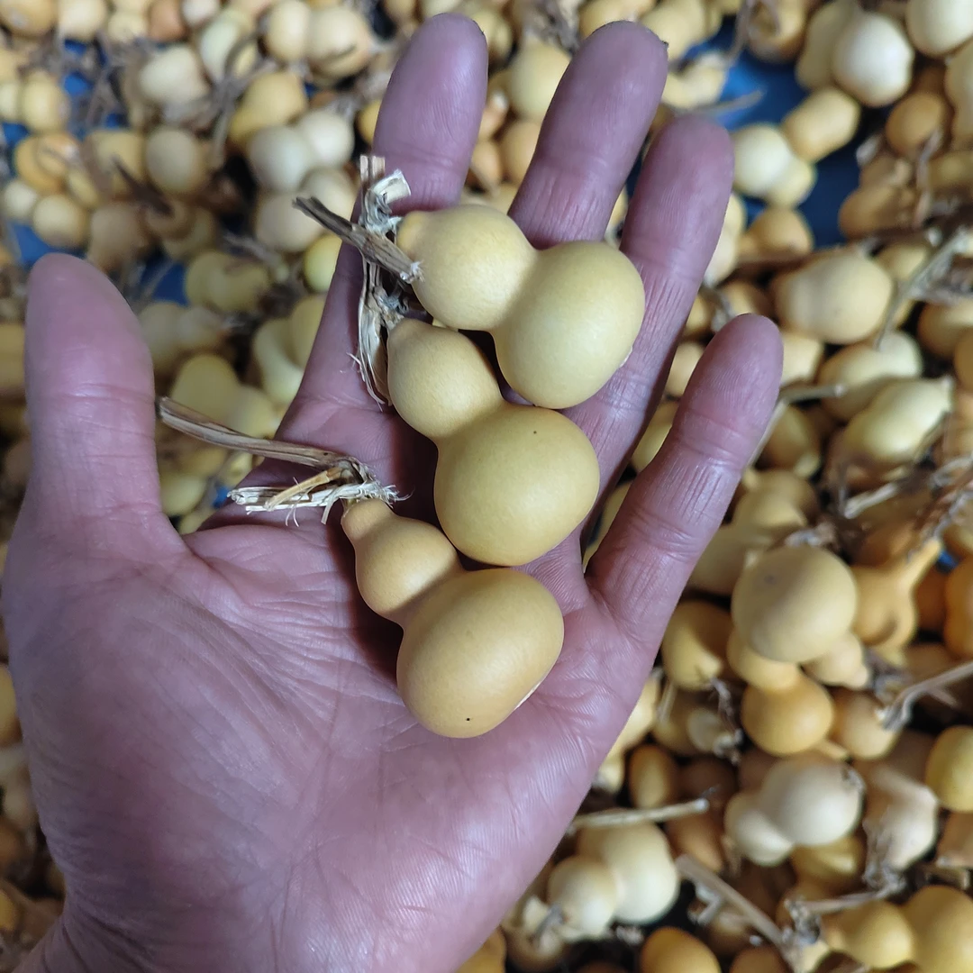 通货手把件可盘玩文玩大小招财自然高3到5厘米10个（不保葫芦龙头）