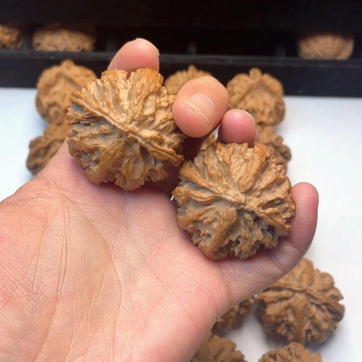 文玩核桃把件文玩城的小伙伴们都是