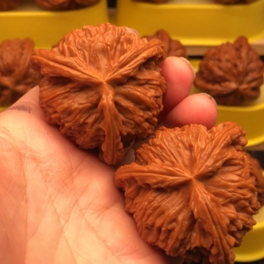 圓***丶核桃核桃核桃核桃核桃核桃核桃