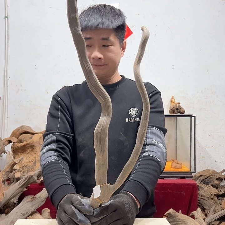 柏木老*我们的生活也是如此