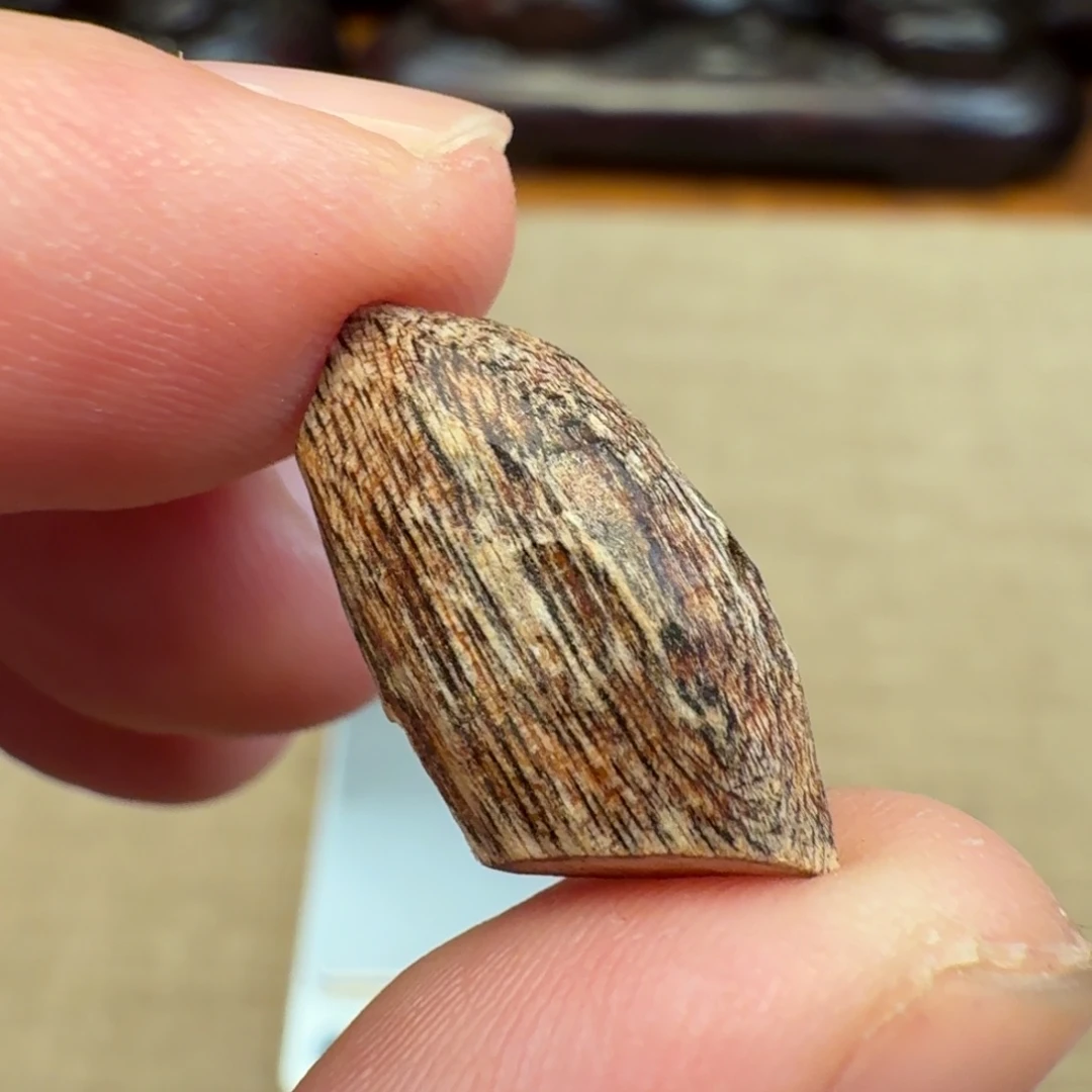 沉香国香海南瓜子