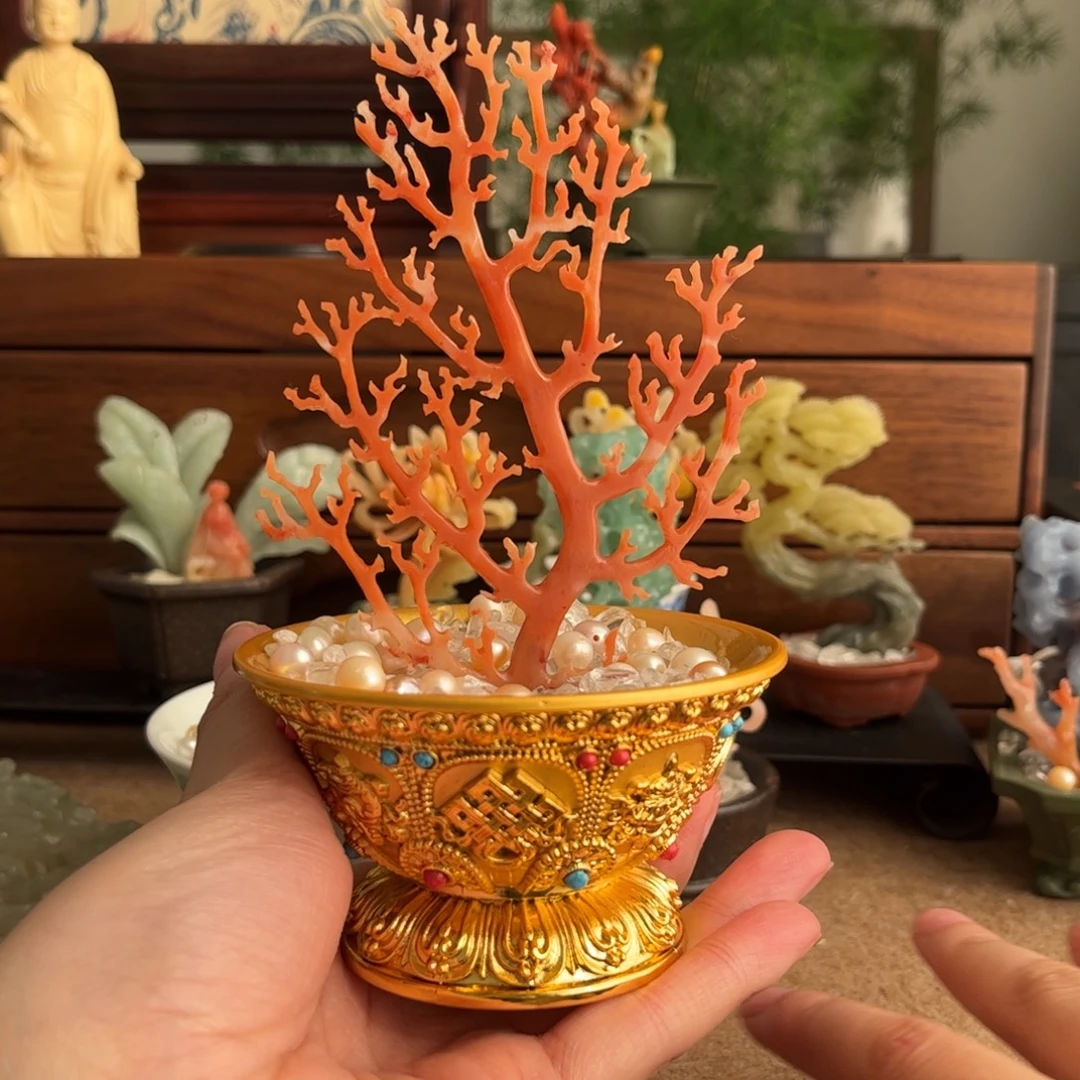 观***心昌化石印石珊湖1盆珍珠1