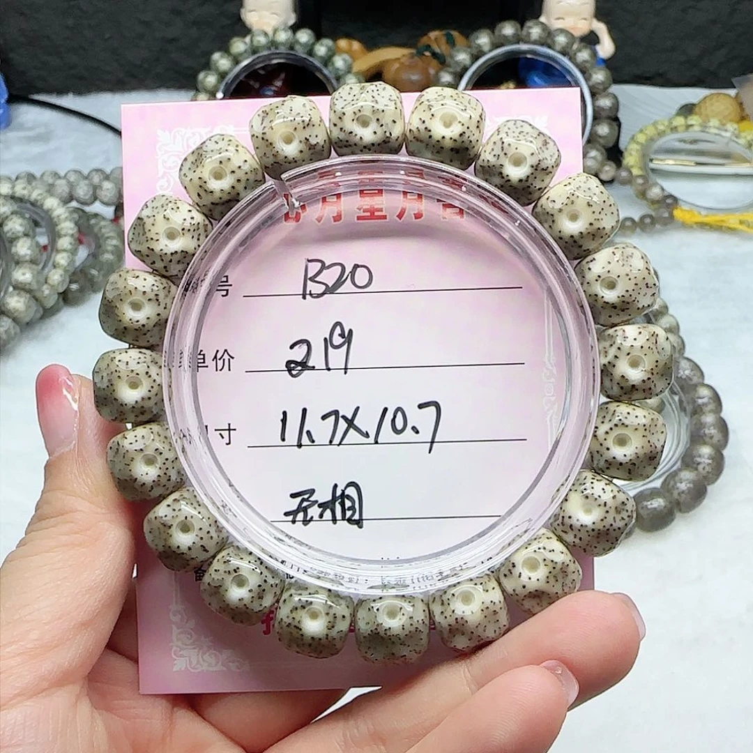 心月星月菩提一号B20