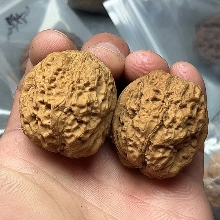 文玩核桃把件43号金刚魔手42尺