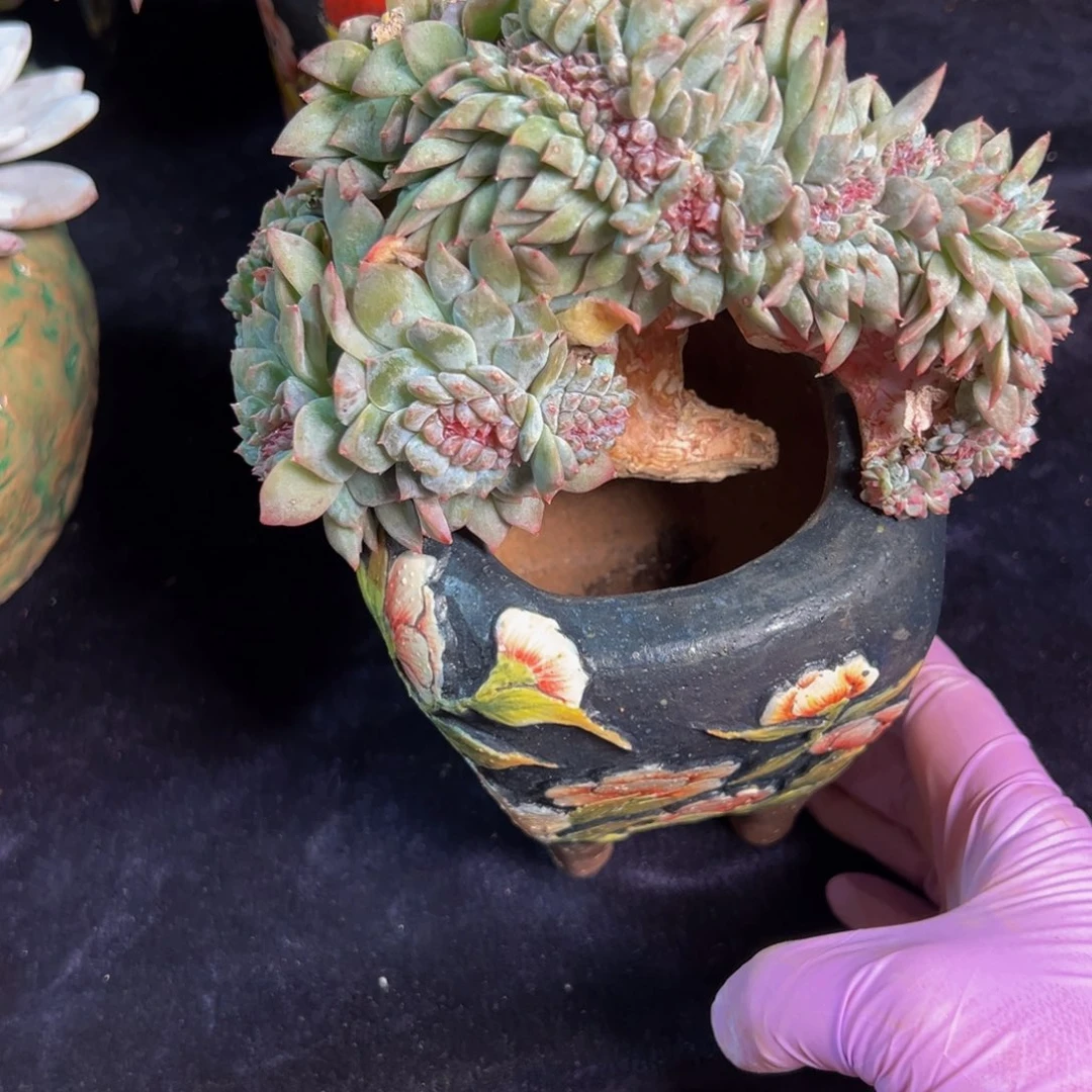 水蜜桃 新年快乐 新年快乐