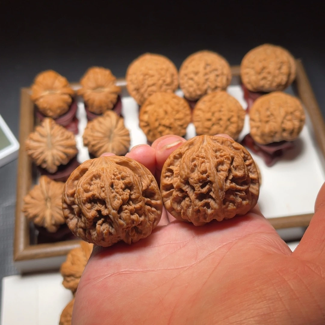 把件文玩核桃球形大粗筋核桃尺寸45