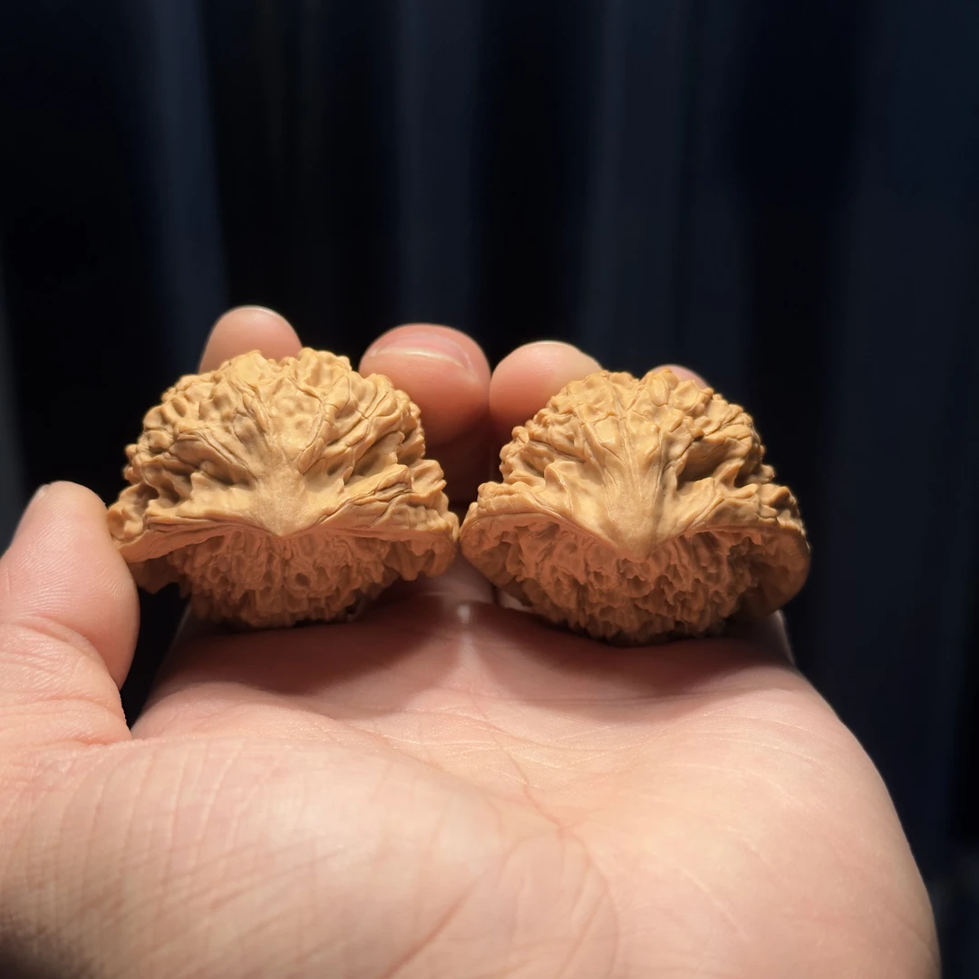 异型核桃蛇王 款式可选