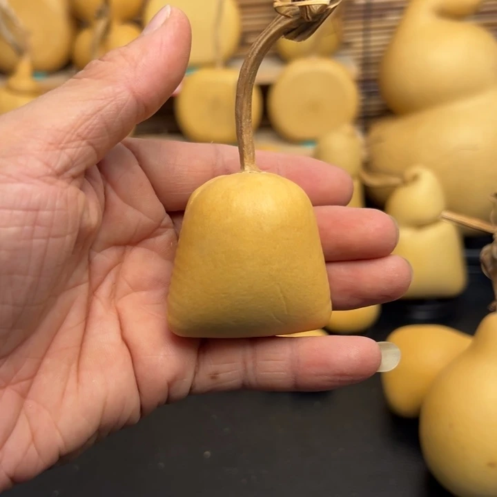 ?**姐6699889888996966699